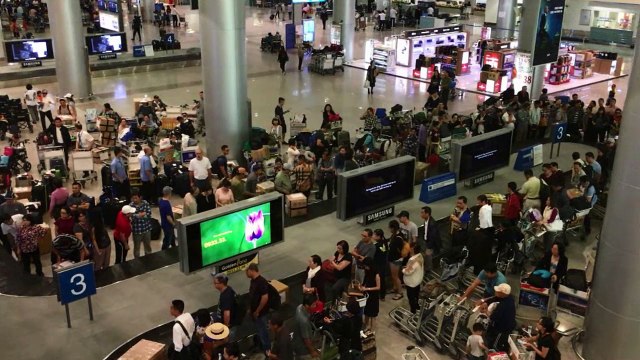 Loạt trang sức nghi ngà voi giấu trong bụng cá hồi ở sân bay