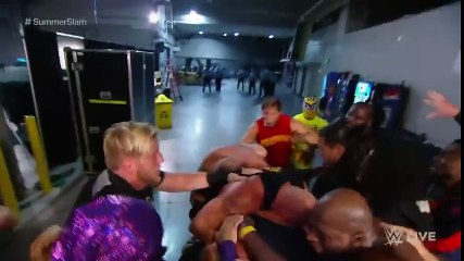 Wwe real fight