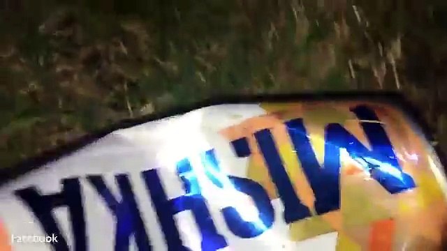 Un poisson avec des dents acérées mord une canette