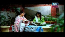 Haya Kay Rang Episode 80 - on Ary Zindagi in High Quality 4th May 2017