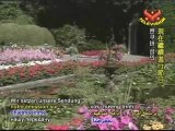 Nature's Beauty:The Butchart Gardens