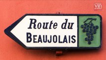 Vins du Beaujolais : Que valent les millésimes 2015 et 2016 ?