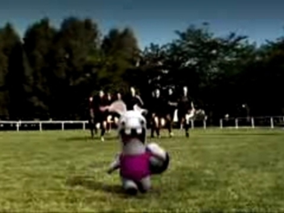 les lapins encore plus crétins rugby