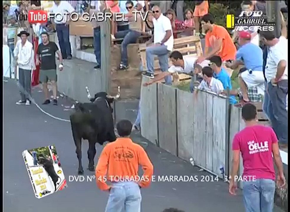 FUNNY ANIMALS ATTACK Man vs Cow