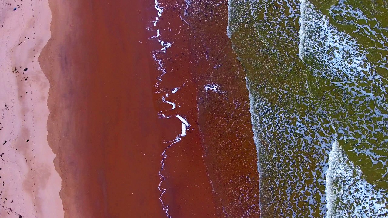 Balade au bord de la mer du Nord (Zen)