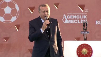 Cumhurbaşkanı Erdoğan Gençlere Seslendi: "Parlamentonun Yolu Size Açık"