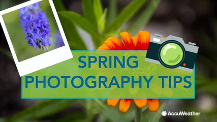 Spring photography tips
