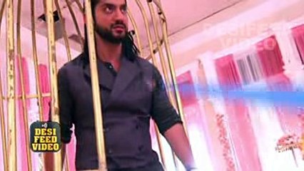 Dil Bole Oberoi - 5th May 2017 - Star Plus Ishqbaaz’s Sequel Dil Bole Oberoi Today News 2017