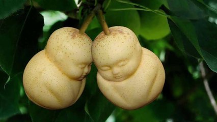 10 Most Expensive Fruits In The World