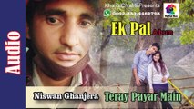 Tera pyar Main song by Niswan Ghanjera |latest viral punjabi song 2023 |viral heart touching song