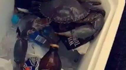 Un homme ouvre une bière avec l'aide d'un crabe.