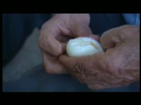 Le jeûne, le monde du bout des lèvres