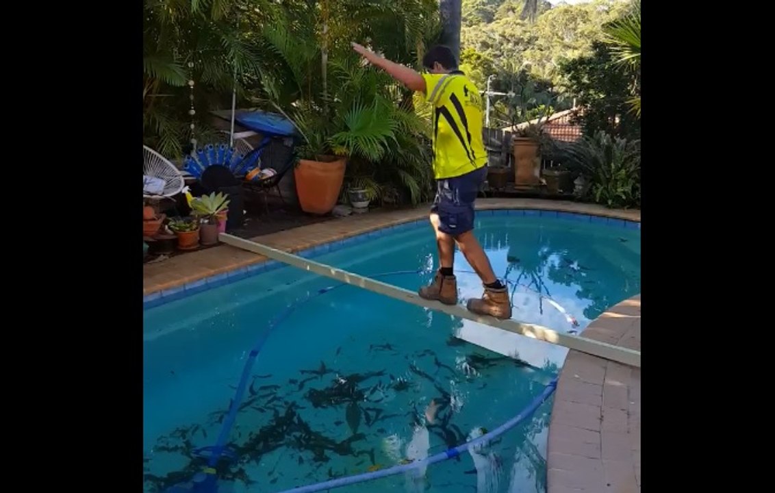 Un agent d'entretien essaye de traverser une piscine en marchant sur un morceau de bois !