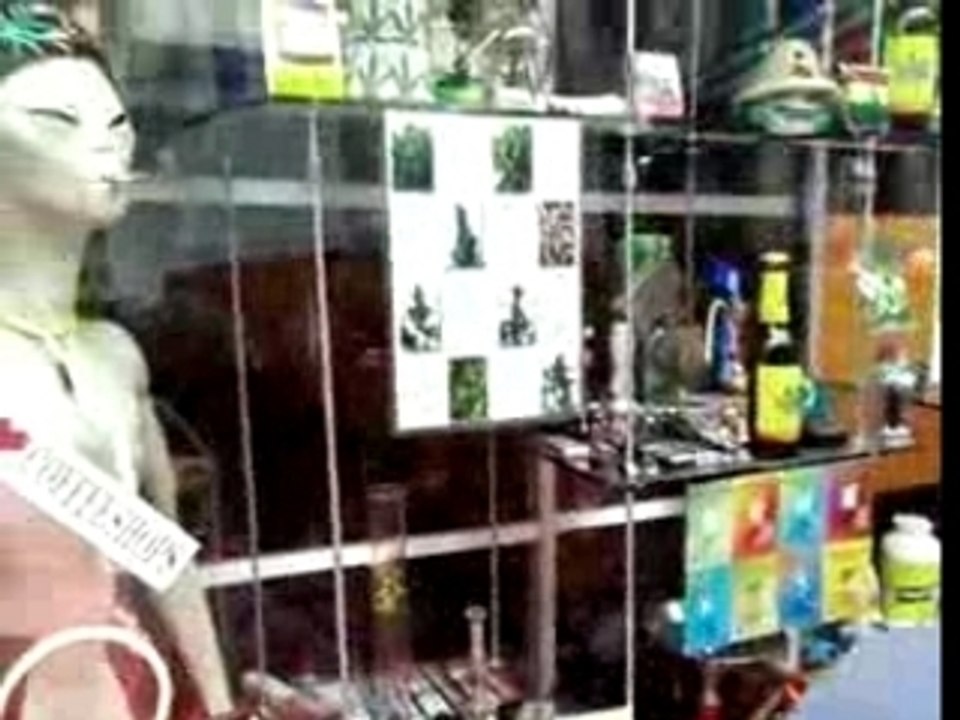 Trip a Breda en Hollande