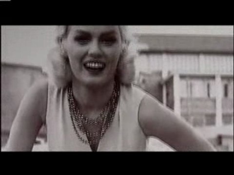 Vespa, le phénomène