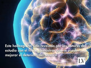 La ciencia nos comparte la fórmula de la eterna juventud