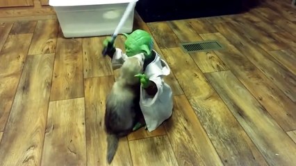 Yoda attaqué par des Furets