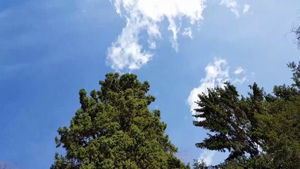 Aden and Ethan watching the clouds go by in april