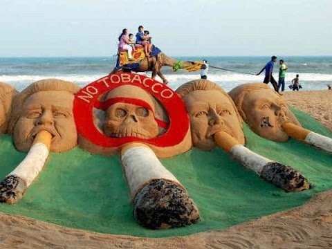 Delhi High Court issues notice to Delhi govt on tobacco ban