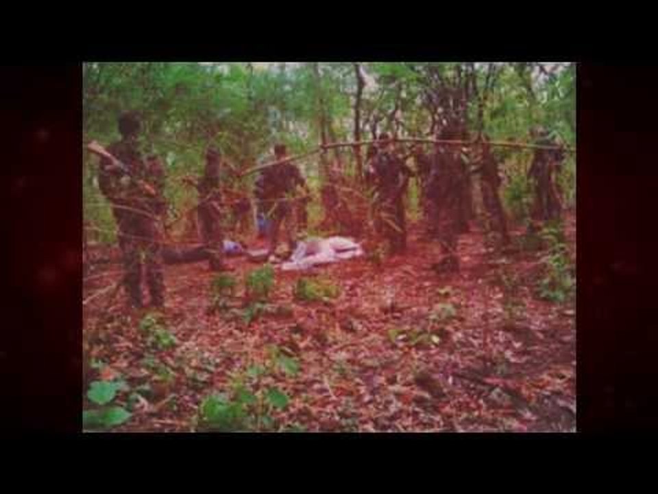 Killed red sander 'smugglers' taken off bus by police says Witness