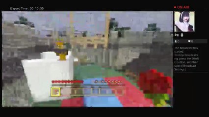 Minecaft roleplay (4)