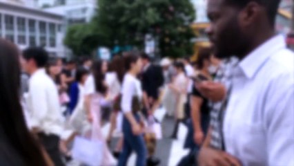 JVZOO ACADEMY REVIEW- jvzooacademypremium.com