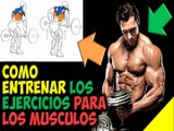 Como Entrenar o Hacer los De Ejercicios Pesas Para Ganar Masa Muscular en el Cuerpo