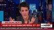 Rachel Maddow reveals exactly how Democrats can take back Congress in 2018 elections