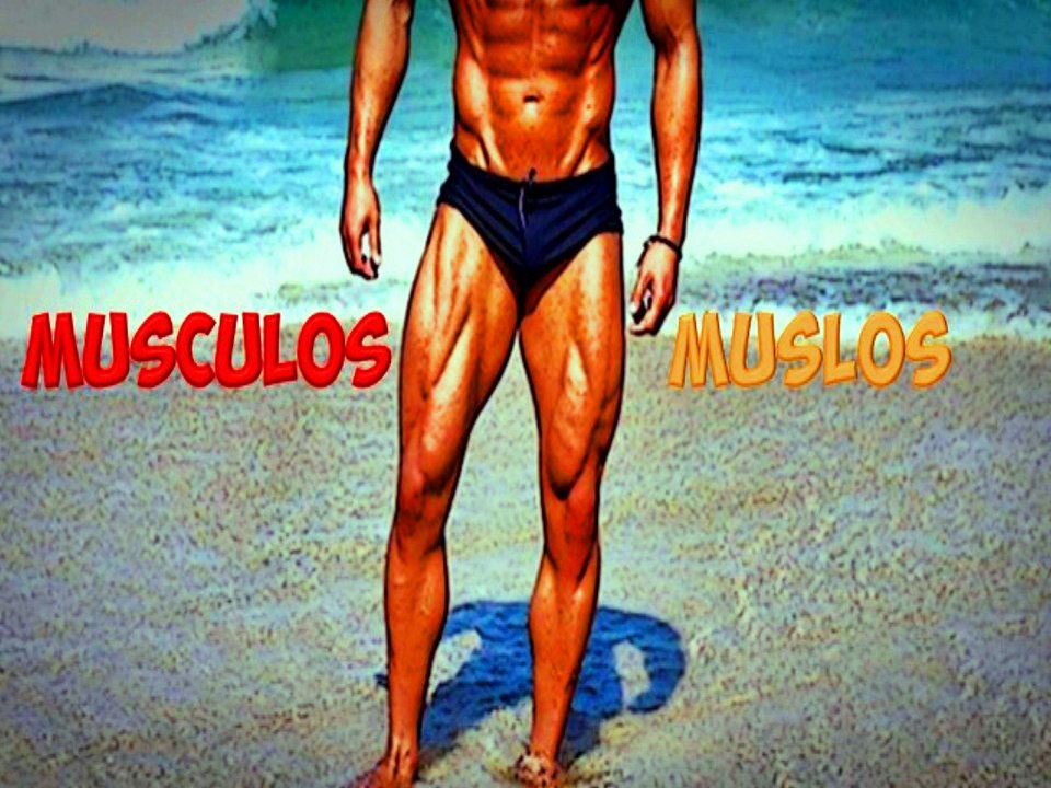 Como Entrenar y Desarrollar los Muslos Para Ganar Masa Muscular en las Piernas