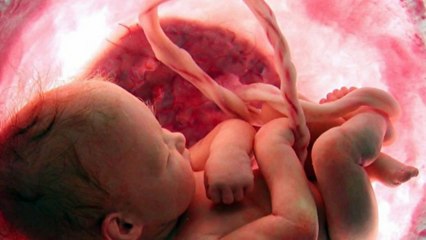 Rüyada Anne Karnında Bebek Görmek