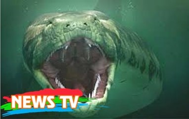 Top 7 con quái vật lớn nhất mọi thời đại