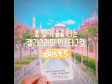 봄 향기 솔솔 나는 캘리그라퍼 인스타그램 BEST5