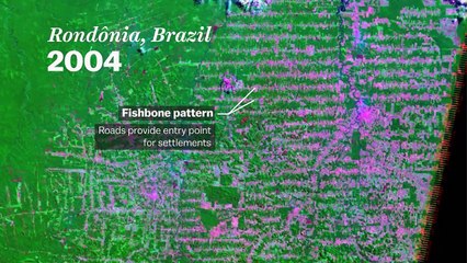 5 actividades humanas que se pueden ver desde el espacio.