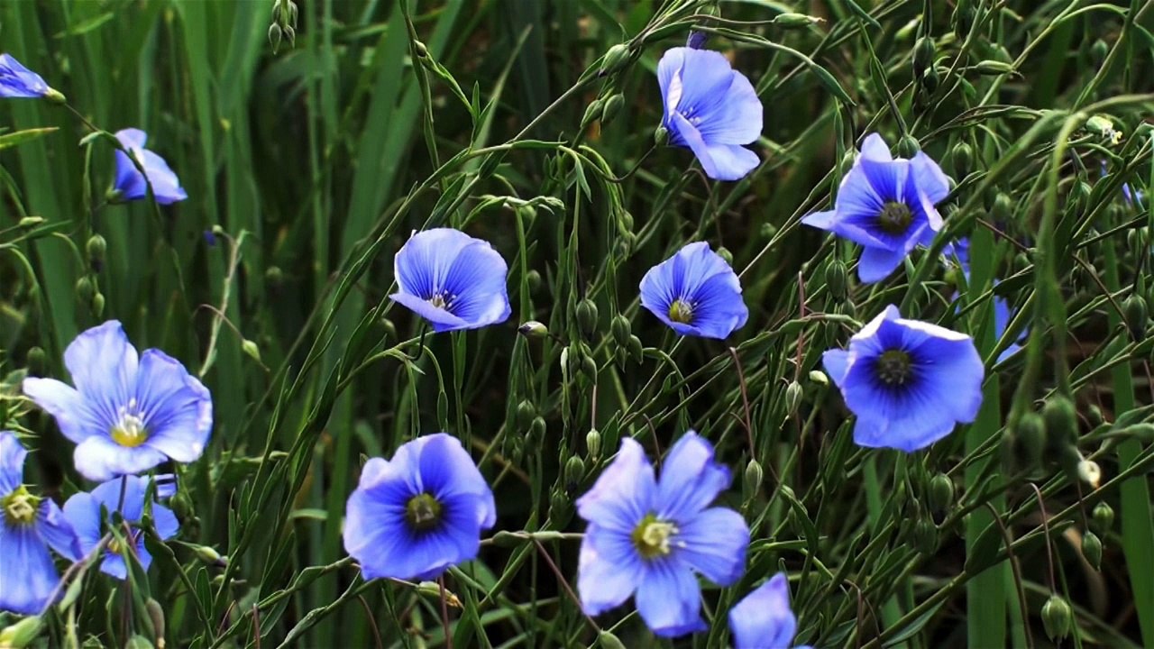 What a difference a day makes