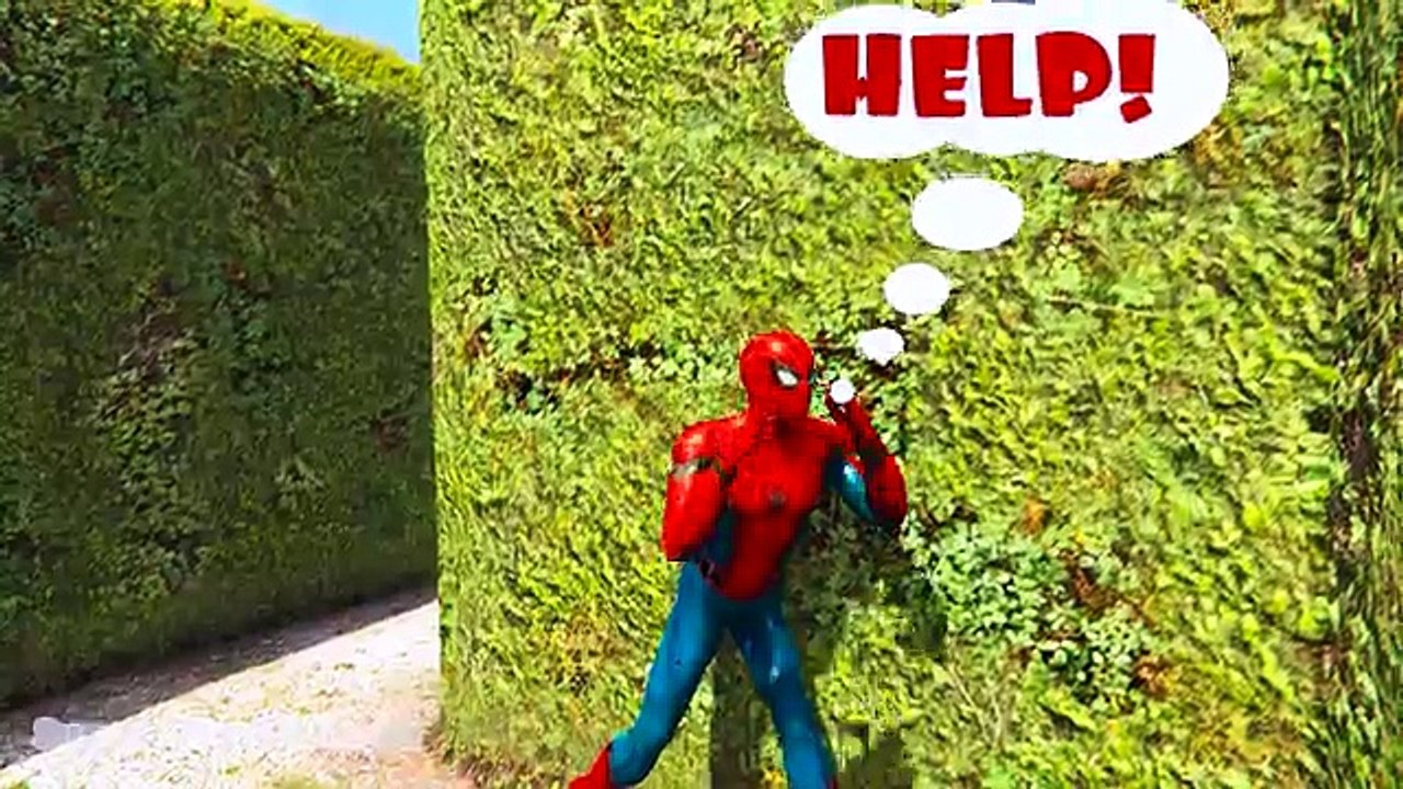 Hulk and Spiderman lost in labyrinth! Cartoon for kids with 3d animation and colors