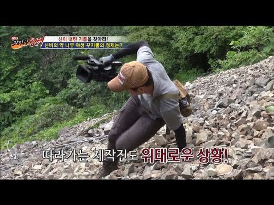 촬영조차 힘든 산속! 신비의 약의 정체는? [뉴 코리아 헌터] 4회 20160630