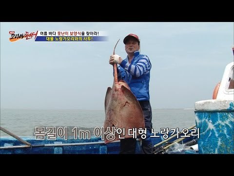 드디어 잡았다! 대물 노랑가오리! [뉴 코리아 헌터] 4회 20160630