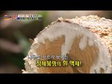 나무를 자르자 보이는 수액의 정체! [뉴 코리아 헌터] 4회 20160630