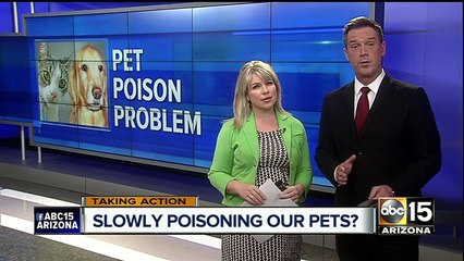 Whats REALLY in your pet’s food?