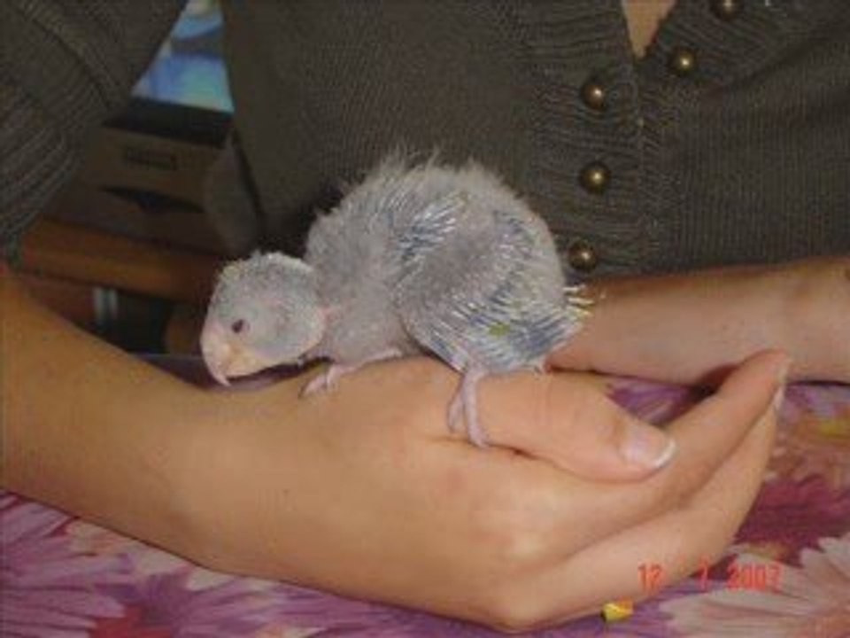 ZaZou