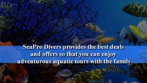 Snorkeling Excursions In Punta Cana - Seaprodivers.com
