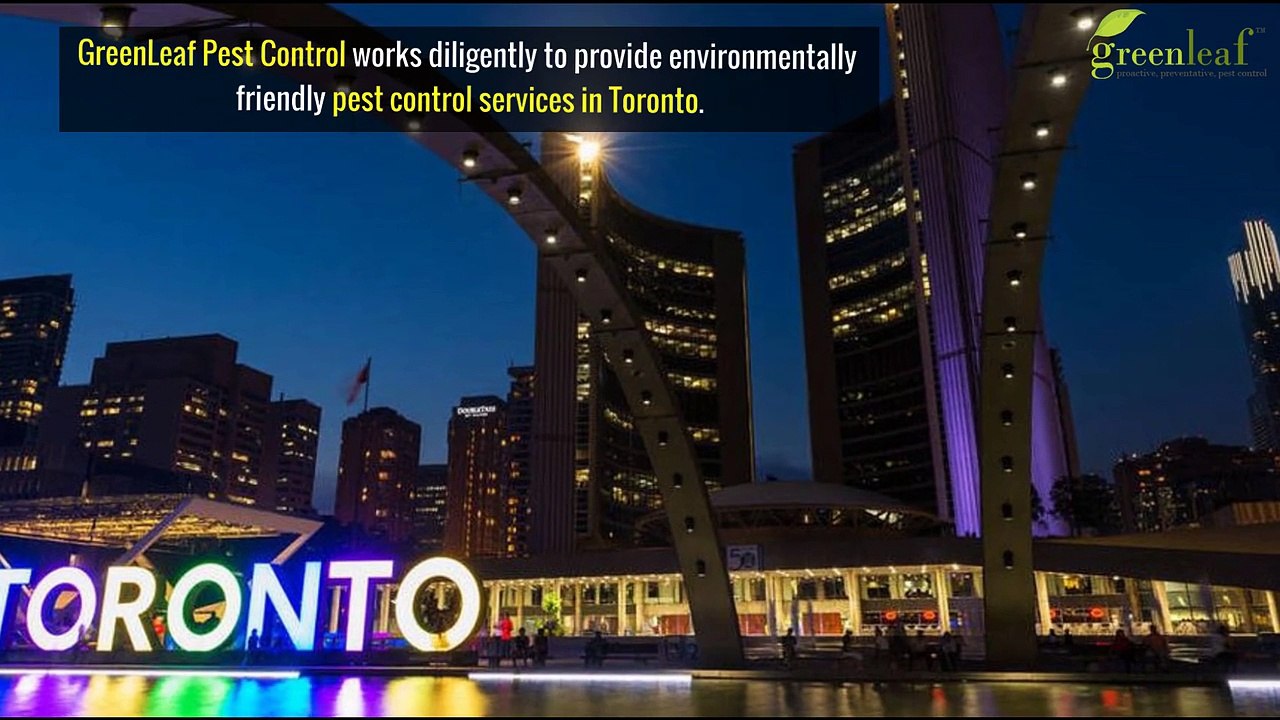 Best Pest control services In Toronto By GreenLeaf