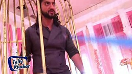 Dil Bole Oberoi - 5th May 2017 - Latest Update Star Plus Dil Bole Oberoi Serialst