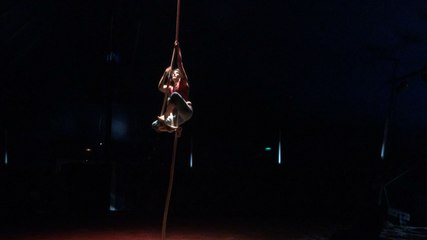 Un cabaret équestre haut en couleur