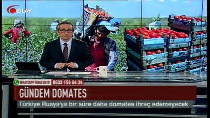 Domates zam şampiyonu (Haber 04 05 2017)