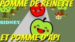 Sidney - Pomme de reinette et pomme d'api