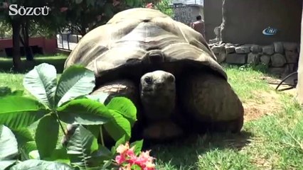 Tuki’den derbi tahmini