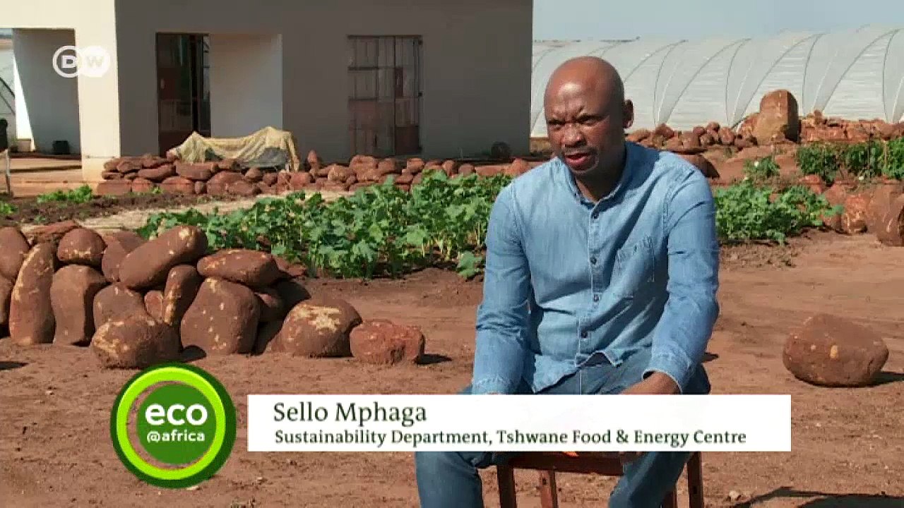 Embracing sustainable green practices | DW English