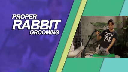 Alagang Magaling S6 EP9 - PROPER RABBIT GROOMING