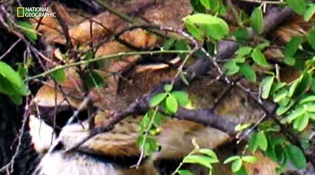 Игры разума. Движение – жизнь